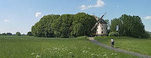 Gohliser Windmühle und Elberadweg