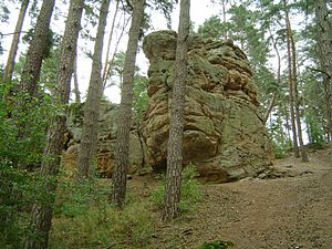 Naturdenkmal Buchstein im Südwesten von Bayreuth