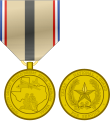 Texas Desert Shield-Desert Storm Campaign Medal