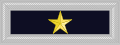 Commissioned Officier Infantry 2nd Lieutenant