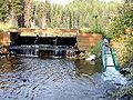 Denil fishway on Salmon Creek (Montana)