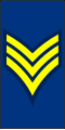 Calvary Dragoons Dress First Sergeant and NCO Staff