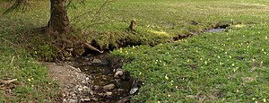 Wiese im Gimlitztal Nahe des Kalkwerkes