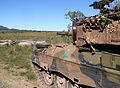 Australian Leopard AS1