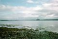 North Sea oil rigs in Cromarty Firth (Scotland)