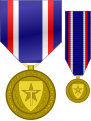 :Former Texas State Guard Association Medal