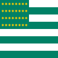 Fenian Flag (1867)