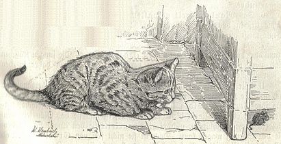 Drawings of cats