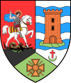 Giurgiu (city)