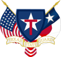 Texas State Guard Logo