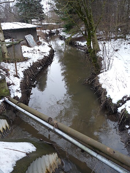 File:Mustjõgi during snowmelt.JPG