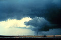 Alfalfa Tornado.