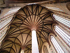 Palmiers de l'Église des Jacobins