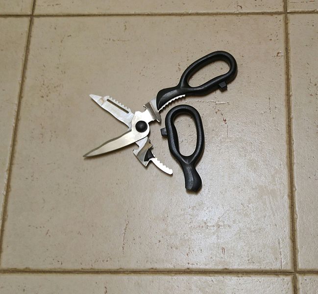 File:Broken Scissors.jpg