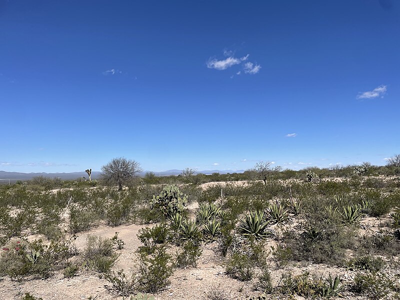 File:Real de catorce peyote panorama.jpg