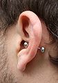 Conch piercing