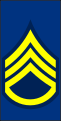 Ordinance Dress NCO Staff