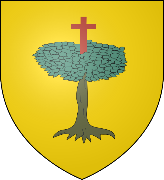 File:Escut del Sobrarbe.svg