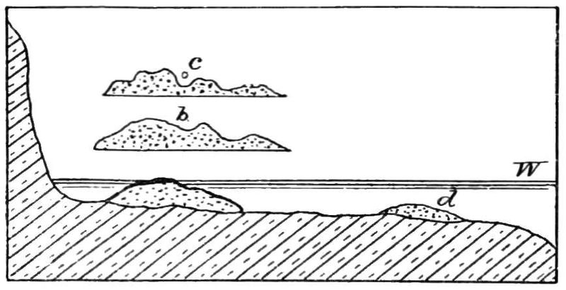 File:PSM V49 D178 Cut terrace and beach section.jpg