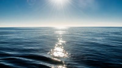 The sun shines brightly over a vast, calm ocean, creating a path of sparkling light on the water's surface.