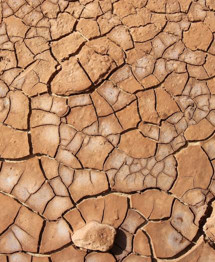 Cracked and dry earth surface with brown and beige tones, featuring irregularly shaped pieces of soil forming a mosaic-like pattern.