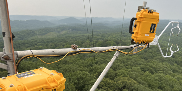 metal poles with bright yellow boxes mounted on them, all high above a forest canopy