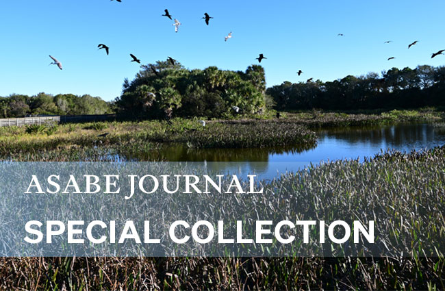 Photograph of constructed wetlands in Florida