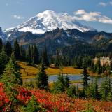 Green trees in front of mountains in the Pacific Northwest