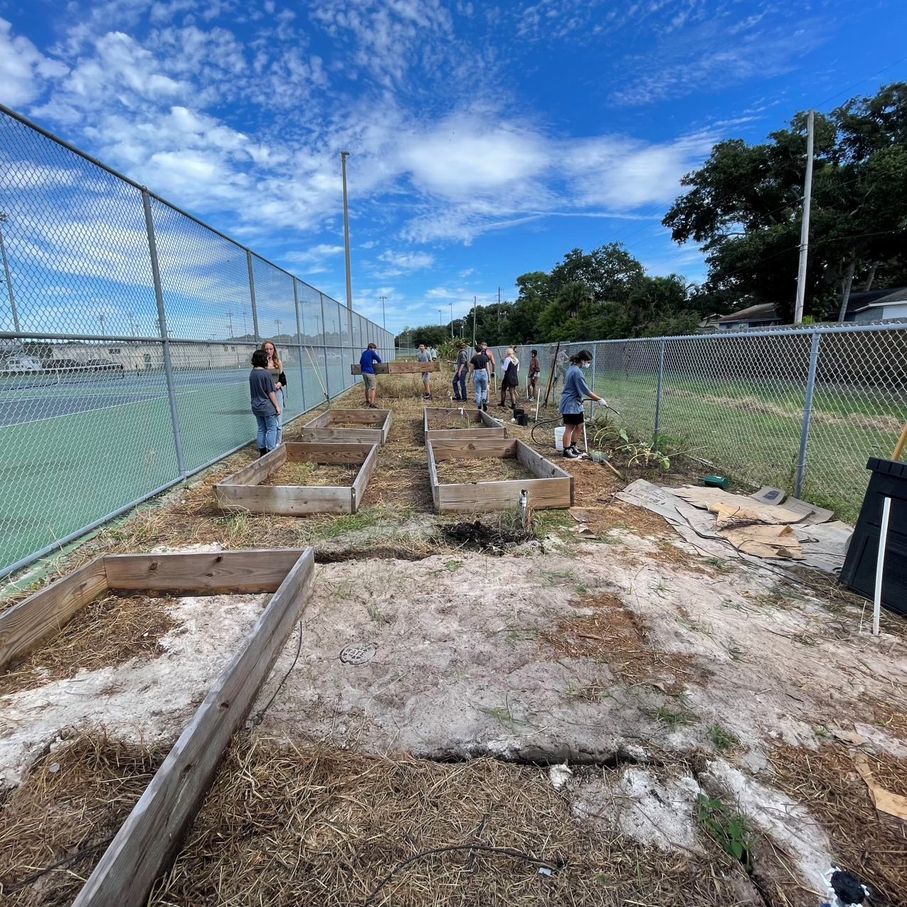 A wide-angle photograph captures a dozen students working together to prepare an area for gardening. Some carry and install empty wooden frames of raised beds, while others shovel dirt and water plants. They appear to be converting a previously unused area of their school between two chain-link fences in to a garden. 