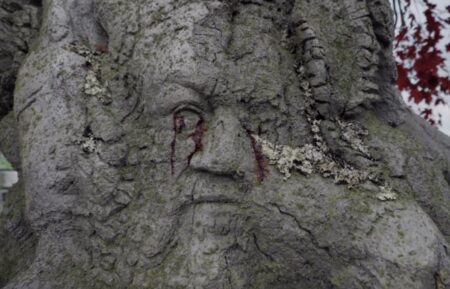 George R.R. Martin's face carved into the weirwood tree at Harrenhal as seen in 'House of the Dragon' Season 2 Episode 7 - 'The Red Sowing'